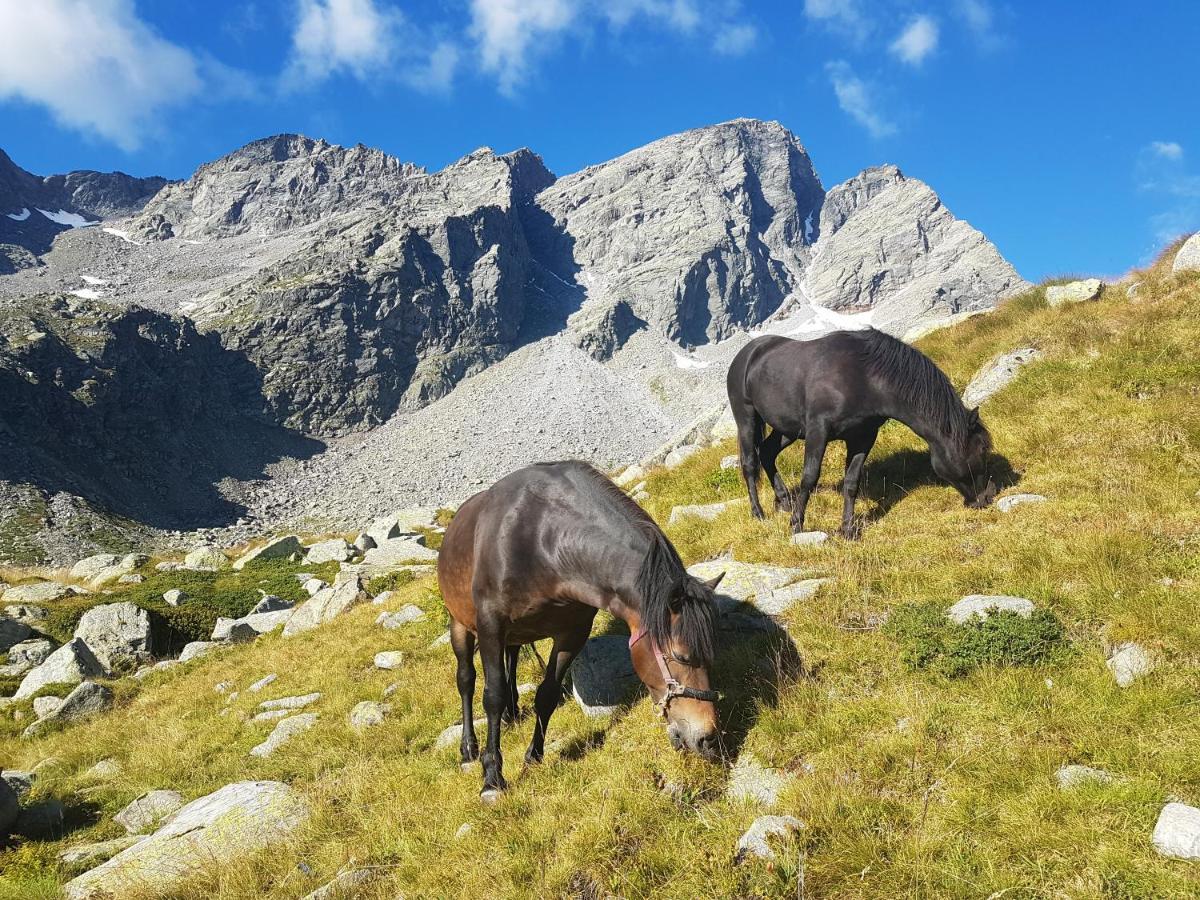 La Mura' - Il Vostro Posto Nel Gran Paradiso Ronco Canavese Bagian luar foto