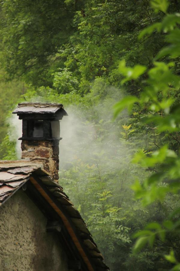 La Mura' - Il Vostro Posto Nel Gran Paradiso Ronco Canavese Bagian luar foto