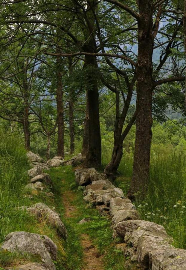 La Mura' - Il Vostro Posto Nel Gran Paradiso Ronco Canavese Bagian luar foto