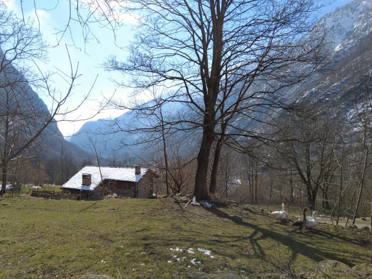 La Mura' - Il Vostro Posto Nel Gran Paradiso Ronco Canavese Bagian luar foto