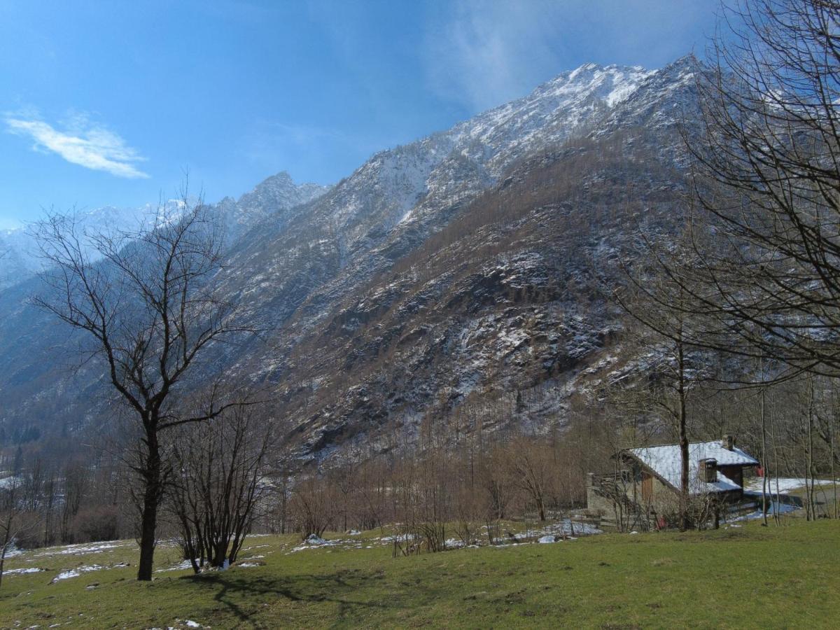La Mura' - Il Vostro Posto Nel Gran Paradiso Ronco Canavese Bagian luar foto