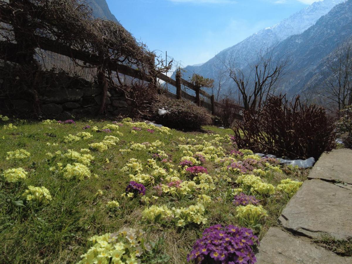 La Mura' - Il Vostro Posto Nel Gran Paradiso Ronco Canavese Bagian luar foto
