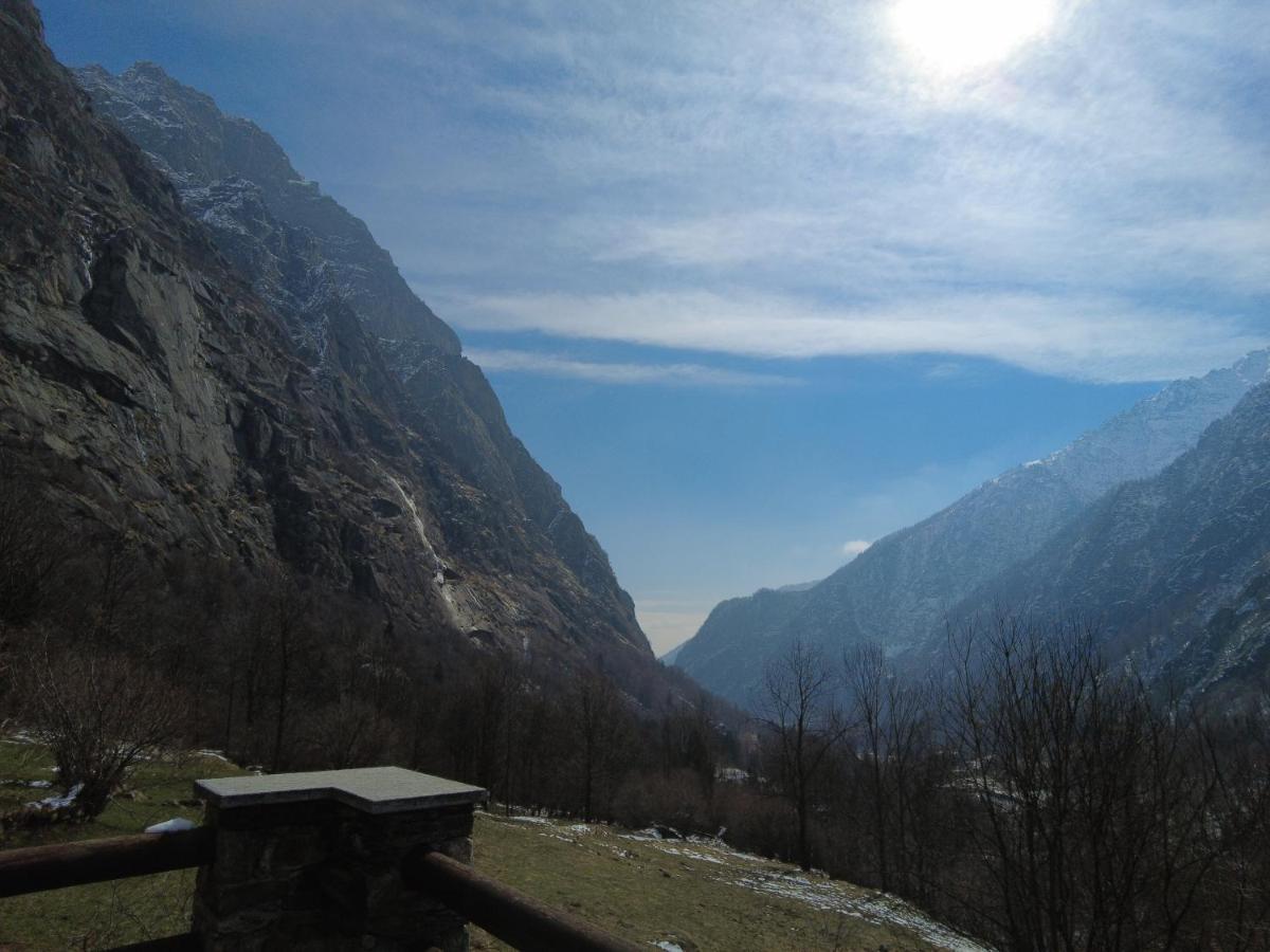 La Mura' - Il Vostro Posto Nel Gran Paradiso Ronco Canavese Bagian luar foto