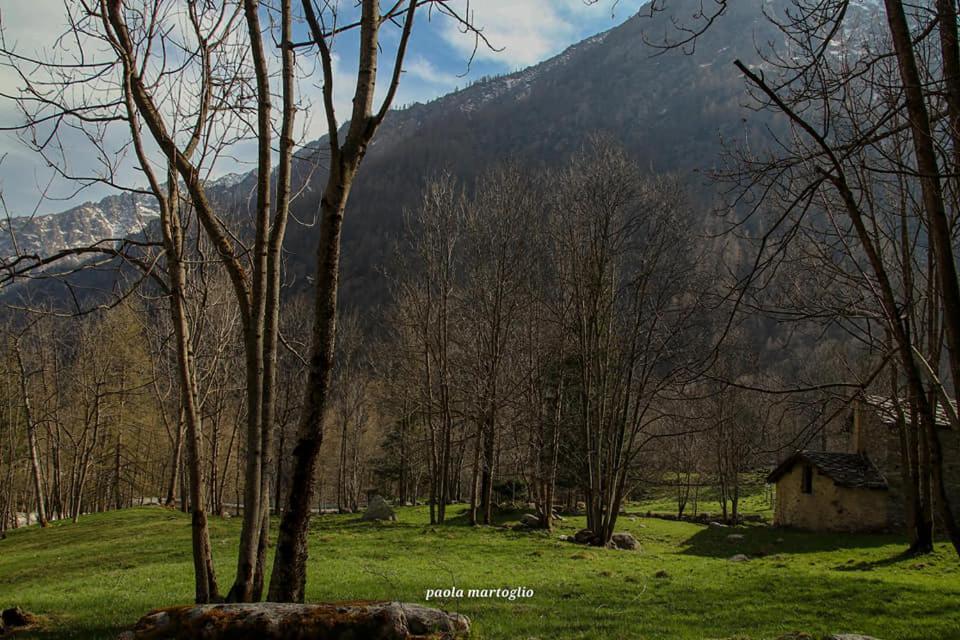 La Mura' - Il Vostro Posto Nel Gran Paradiso Ronco Canavese Bagian luar foto