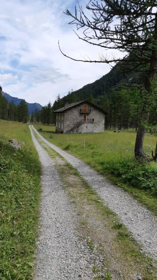 La Mura' - Il Vostro Posto Nel Gran Paradiso Ronco Canavese Bagian luar foto